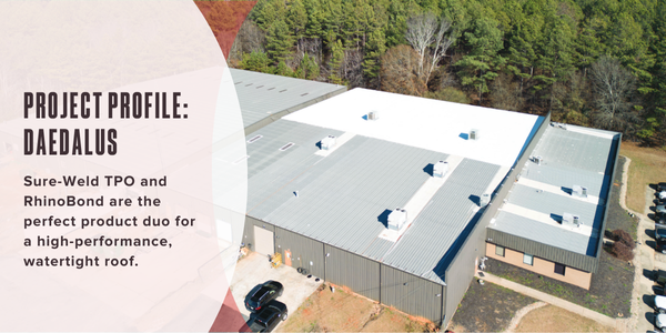 Project profile: Daedalus