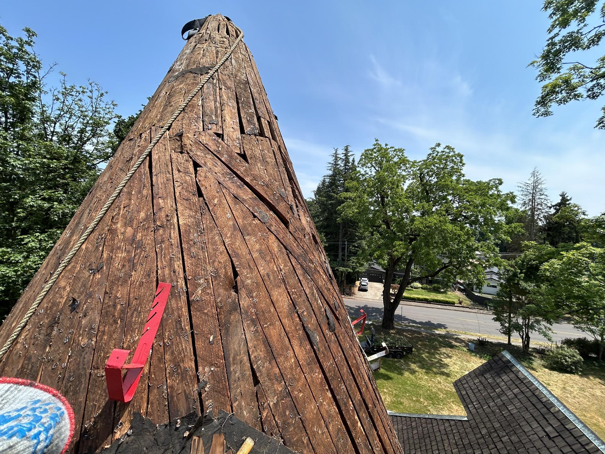 Original cone- Settlemier1