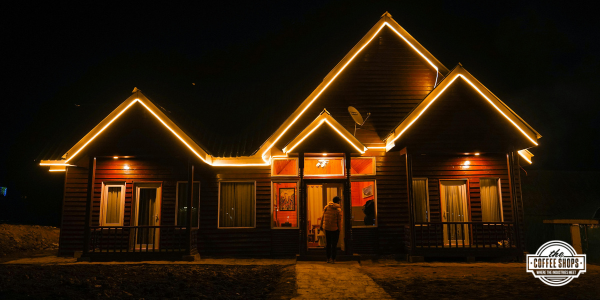 Your guide to holiday lights and roof safety
