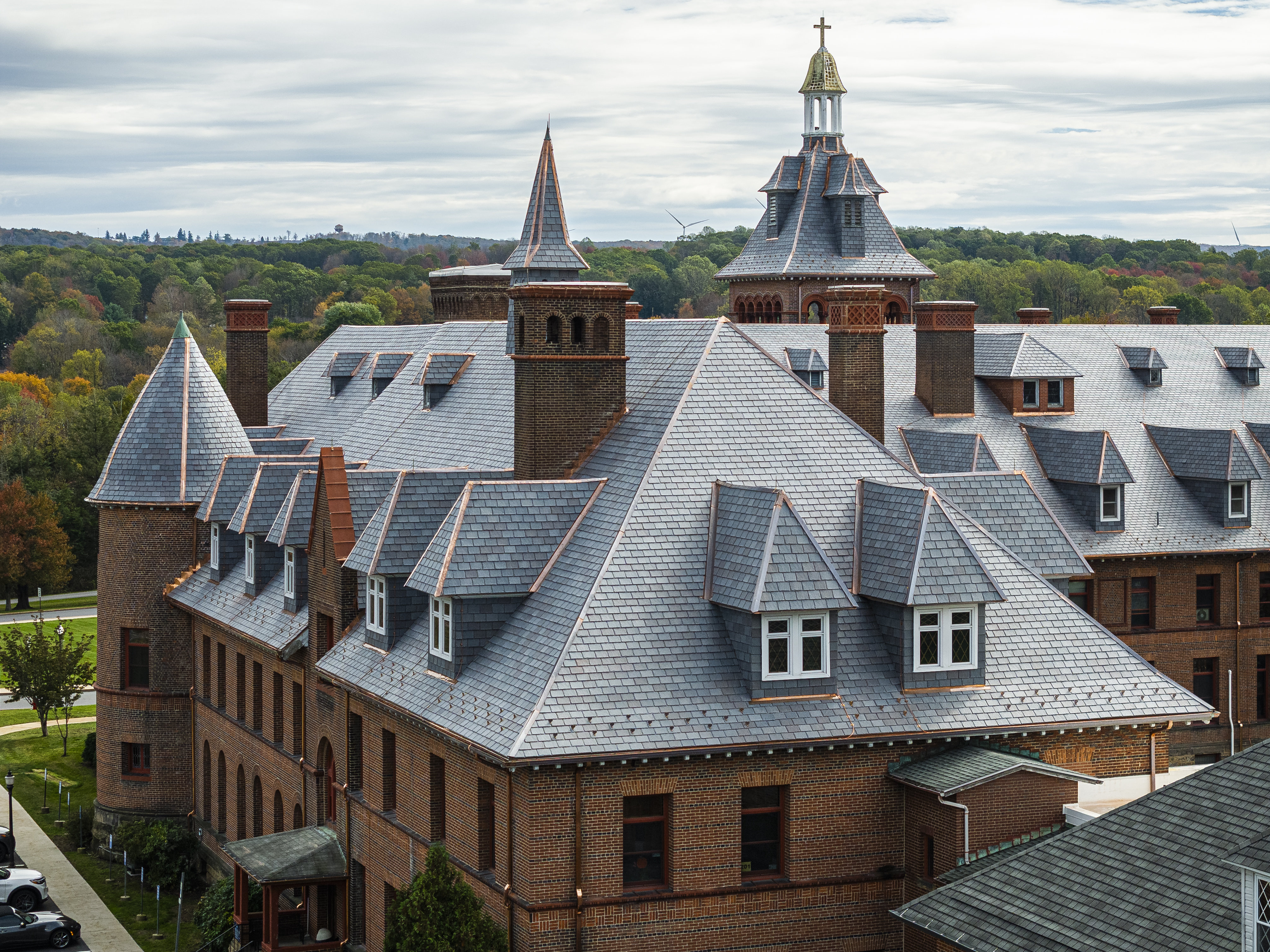 DaVinci - Pic - Mt Aloysius - Close up