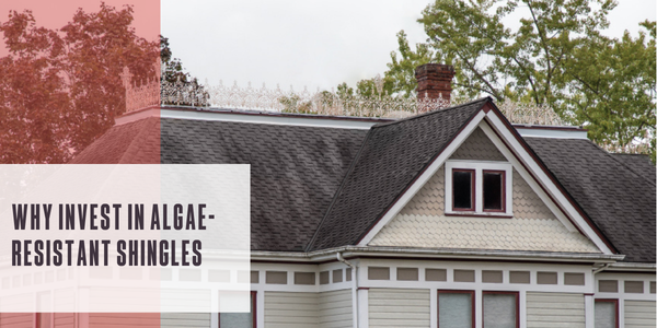 Why invest in algae-resistant shingles
