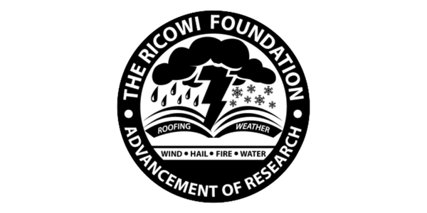 The RICOWI Foundation - logo