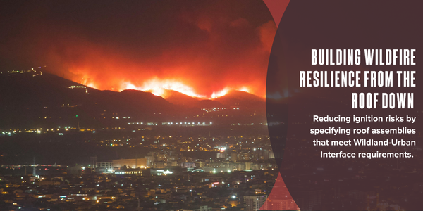 Building wildfire resilience from the roof down