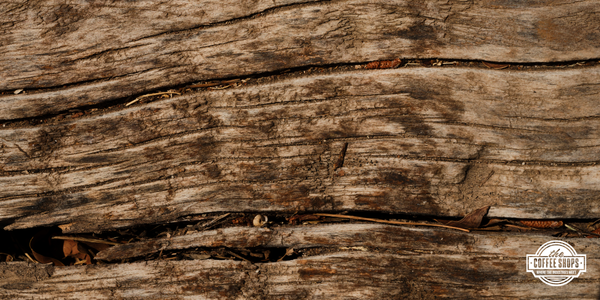Q&A – Managing moisture with ventilation