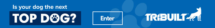 QXO - Banner Ad - Top Dogs 2026 Contest QXO - Banner Ad - Top Dogs 2026 Contest