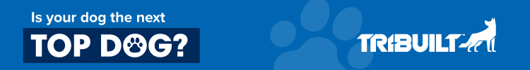 QXO - Banner Ad - Top Dogs 2026 Contest