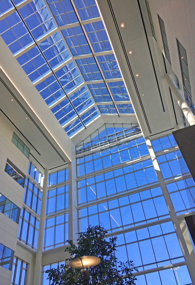 VELUX - woodlands-5