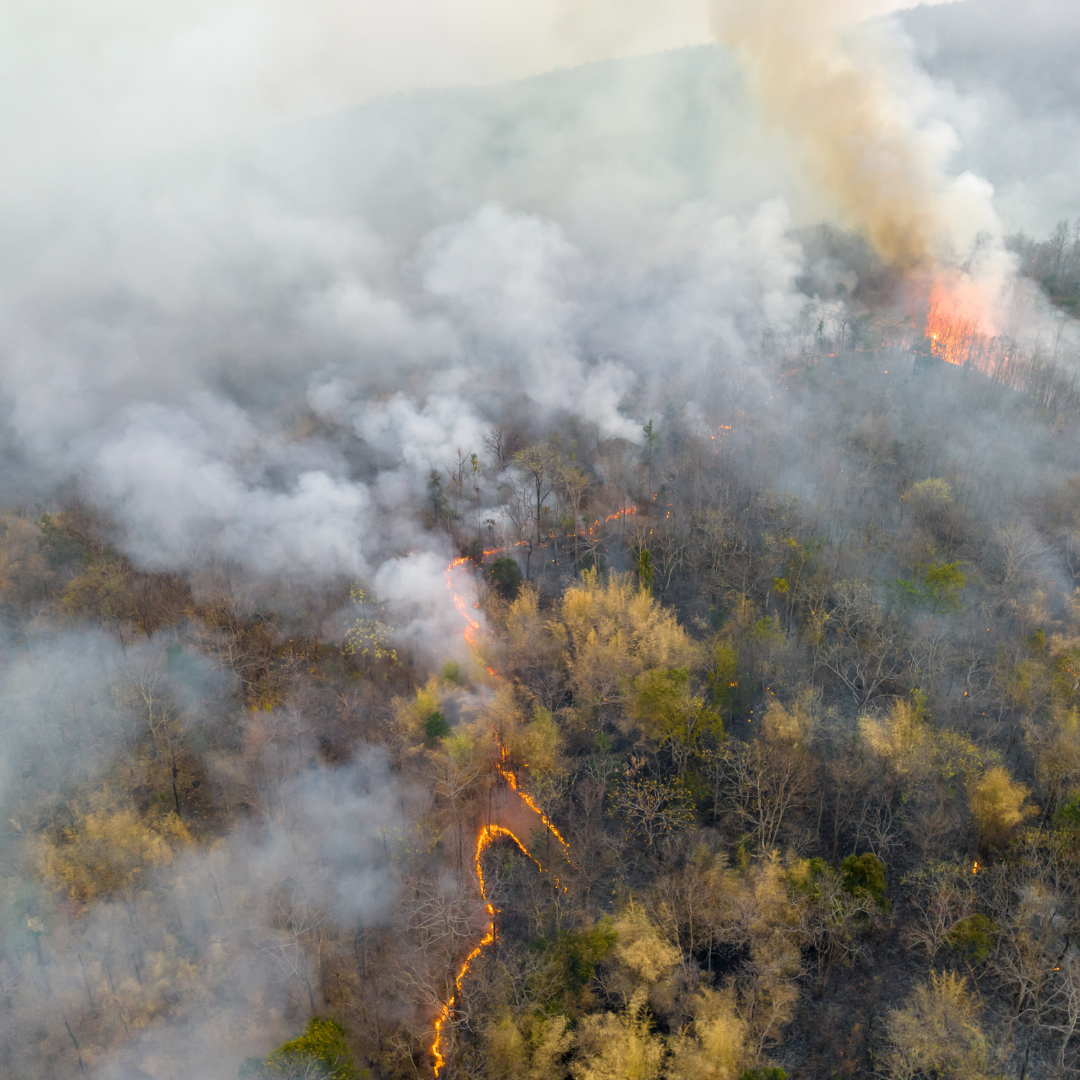 Roofing with wildfires in mind