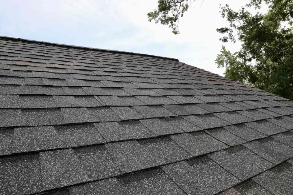 Weather Resistant Shingle in Bonney Lake
